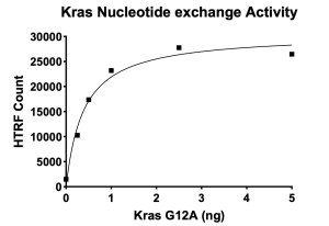 Kras G12A Nucleotide Exchange Assay Kit